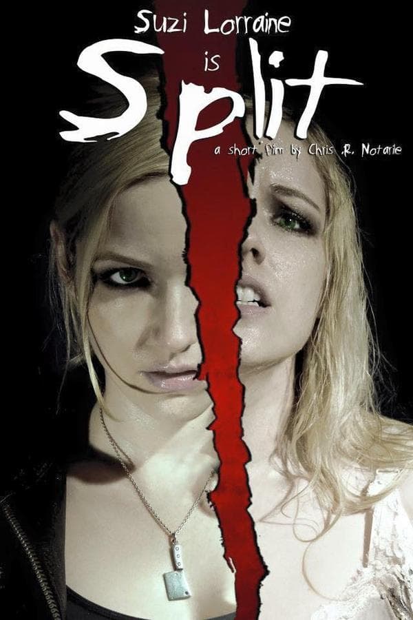 Split poster