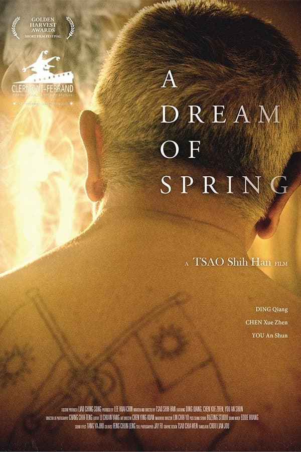 A Dream of Spring poster