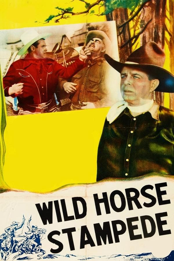 Wild Horse Stampede poster