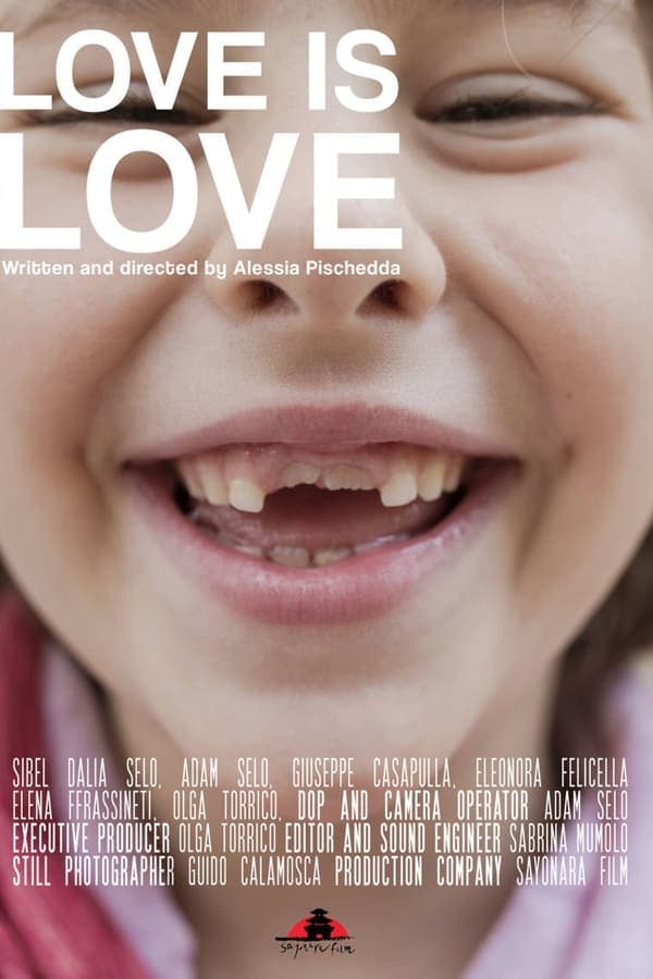 Love is Love poster