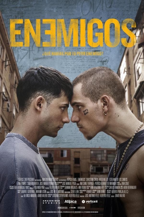 Enemigos poster