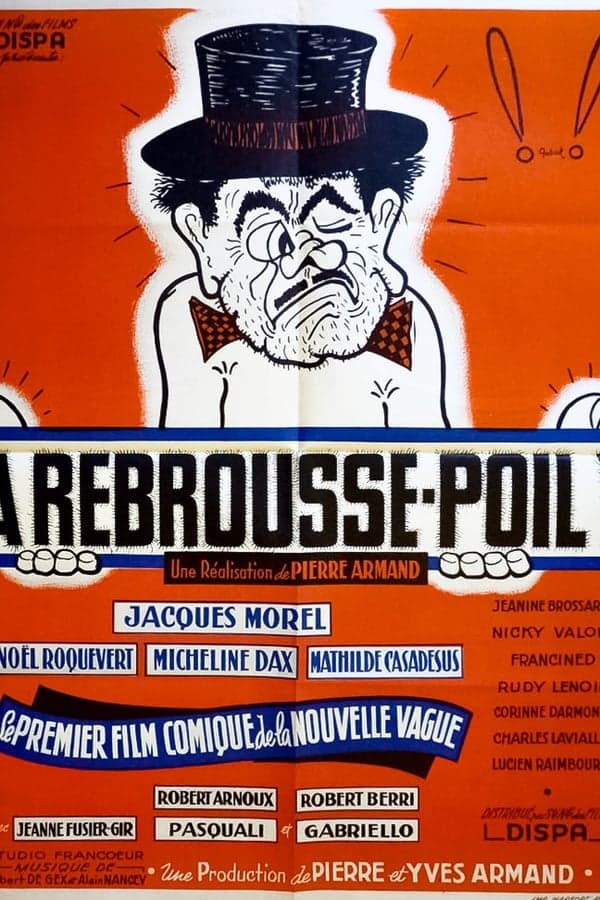 À rebrousse-poil poster