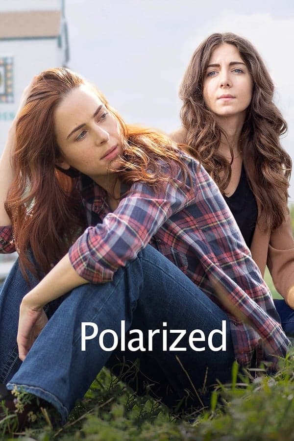 Polarized poster