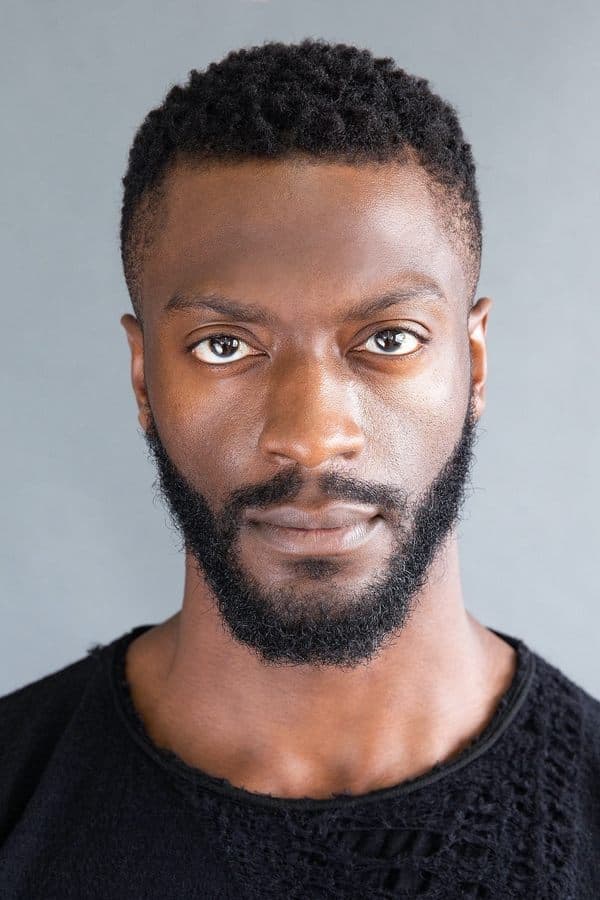 Aldis Hodge poster