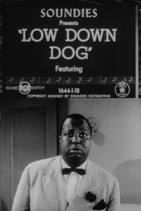 Low Down Dog poster