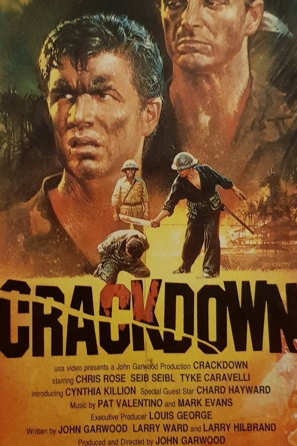 Crackdown poster