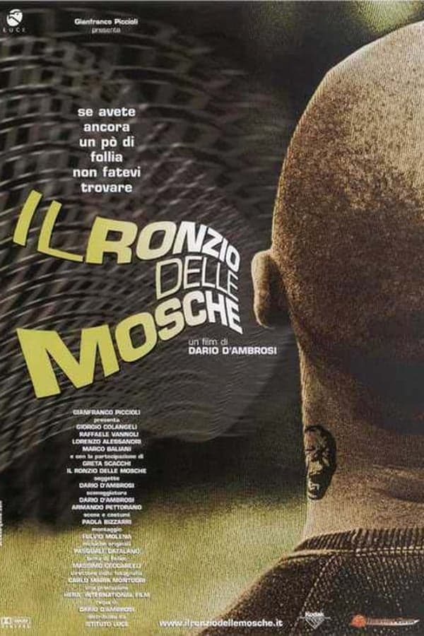 Il ronzio delle mosche poster