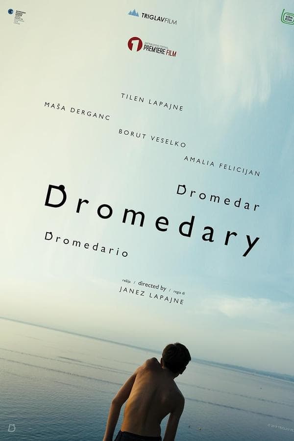 Dromedary poster