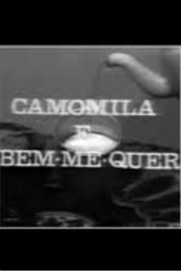 Camomila e Bem-Me-Quer poster