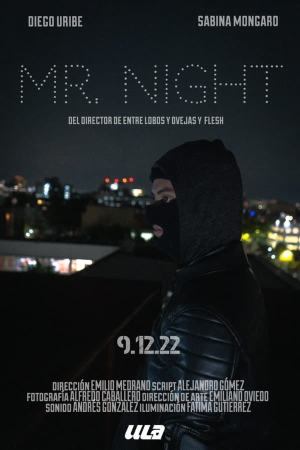 MR. NIGHT poster