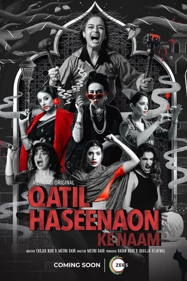 Qatil Haseenaon Ke Naam poster