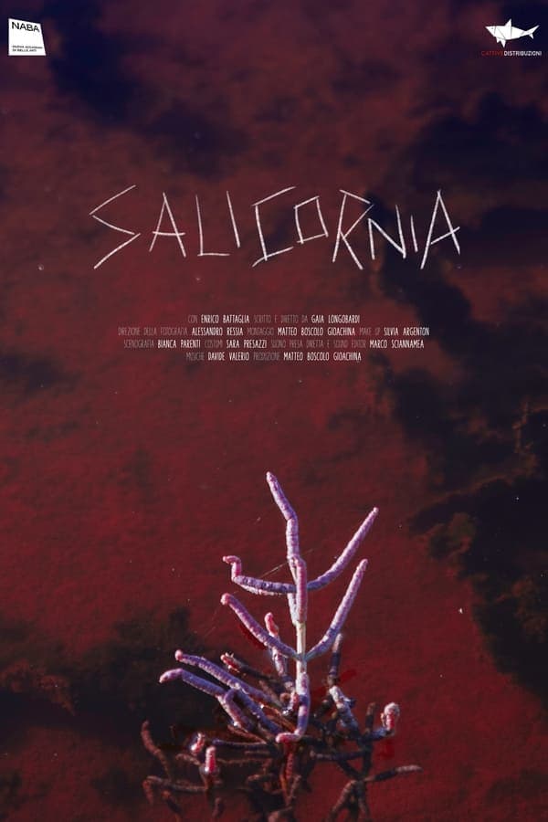 Salicornia poster