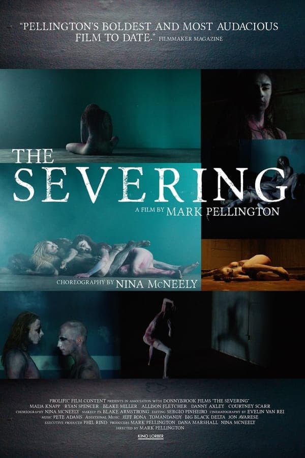 The Severing poster