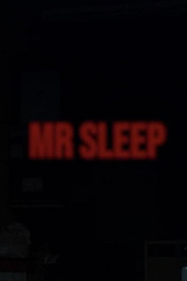 Mr Sleep poster