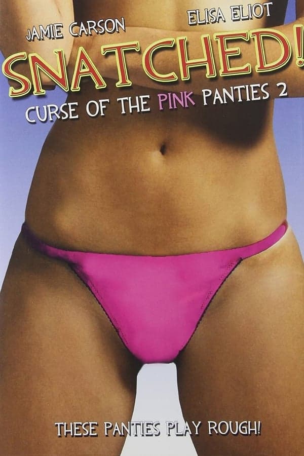 Snatched! Curse of the Pink Panties 2 poster