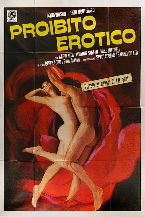 Forbidden Erotica poster