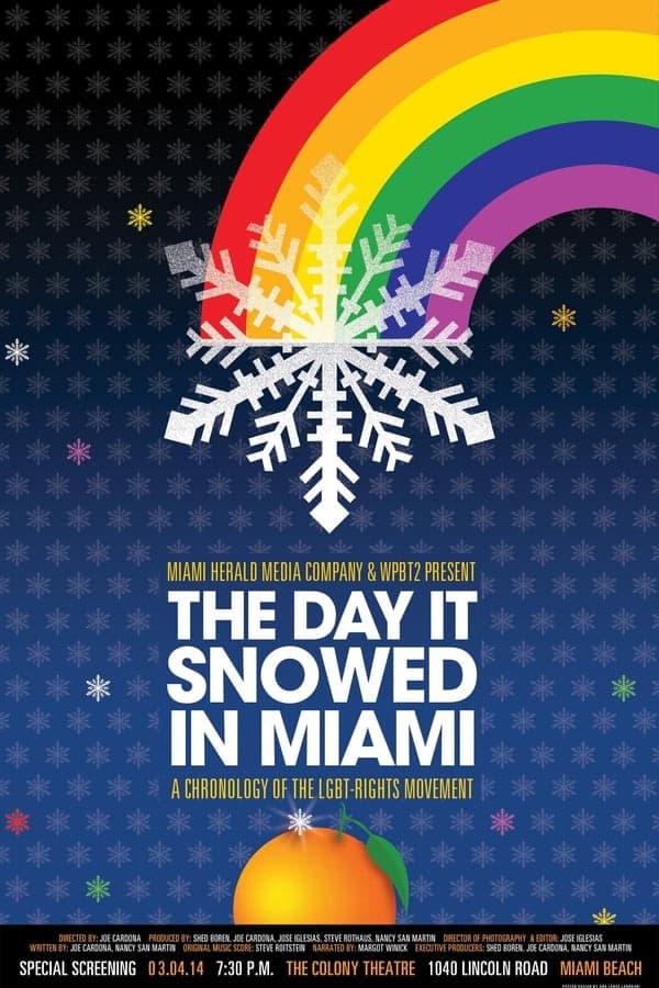 The Day it Snowed in Miami poster