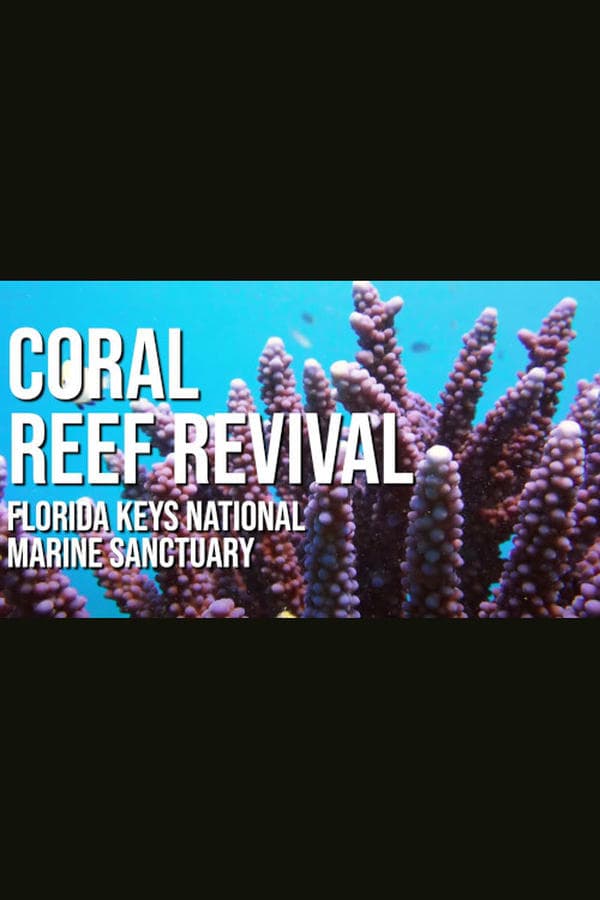 A Coral Reef Revival poster