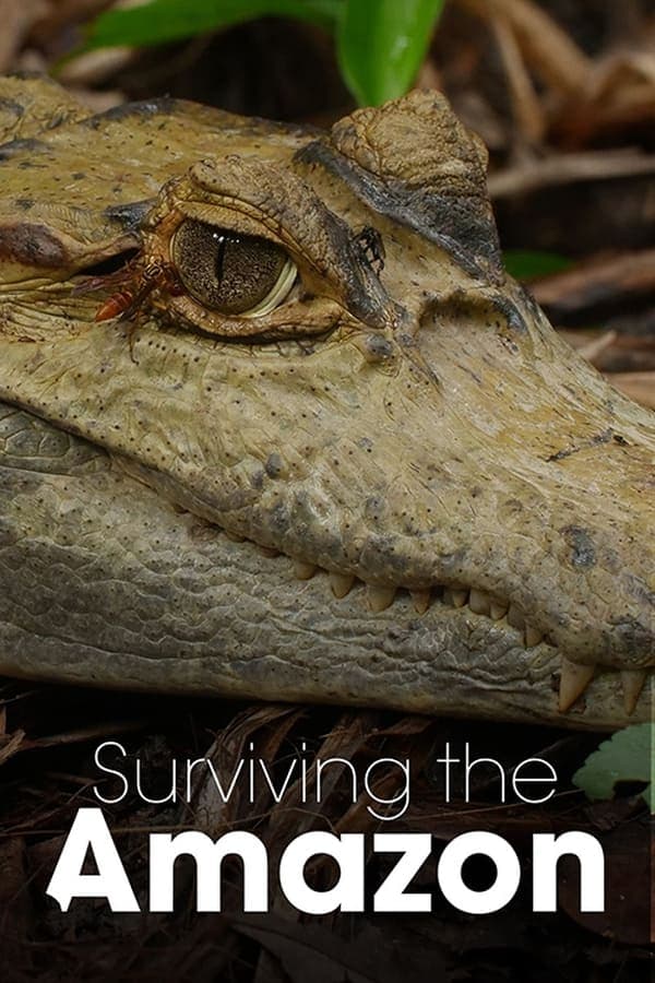 Surviving the Amazon poster