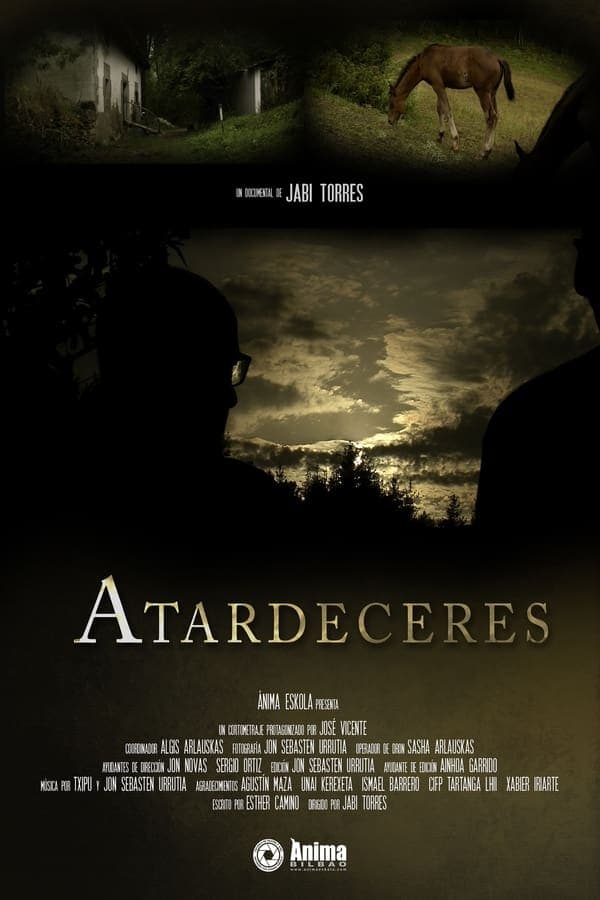 Atardeceres poster