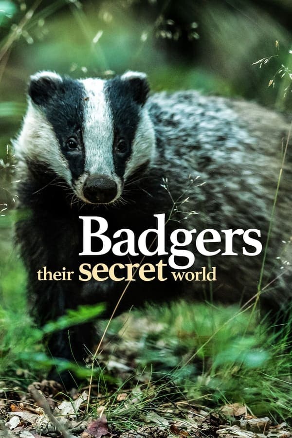 Badgers: Their Secret World poster