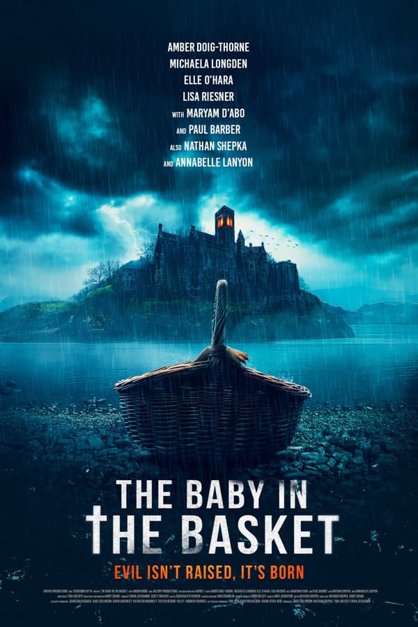 The Baby in the Basket poster