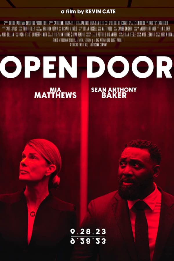 Open Door poster