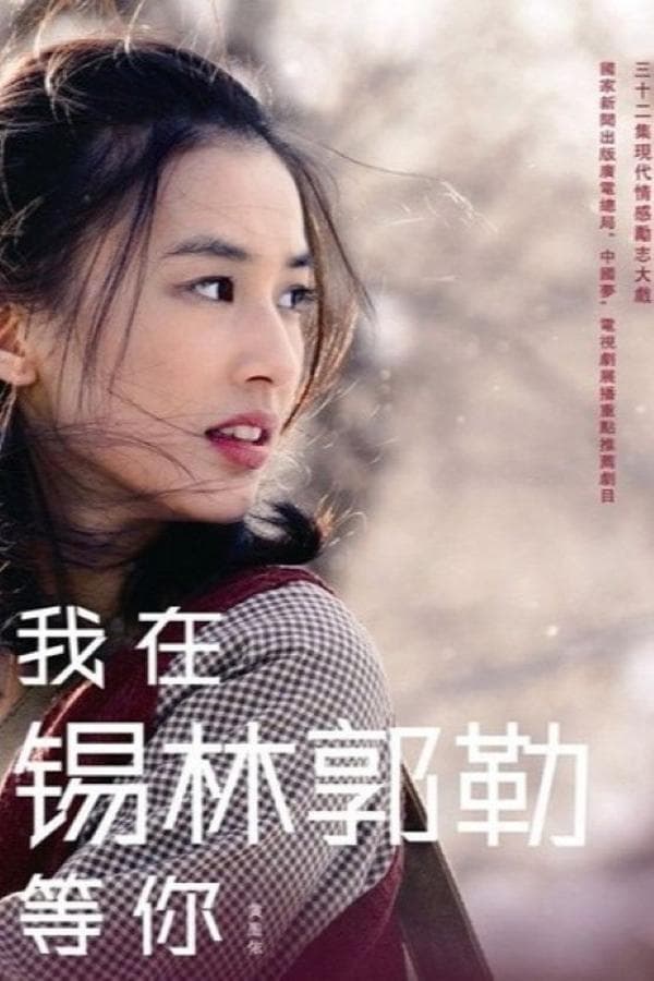 我在锡林郭勒等你 poster