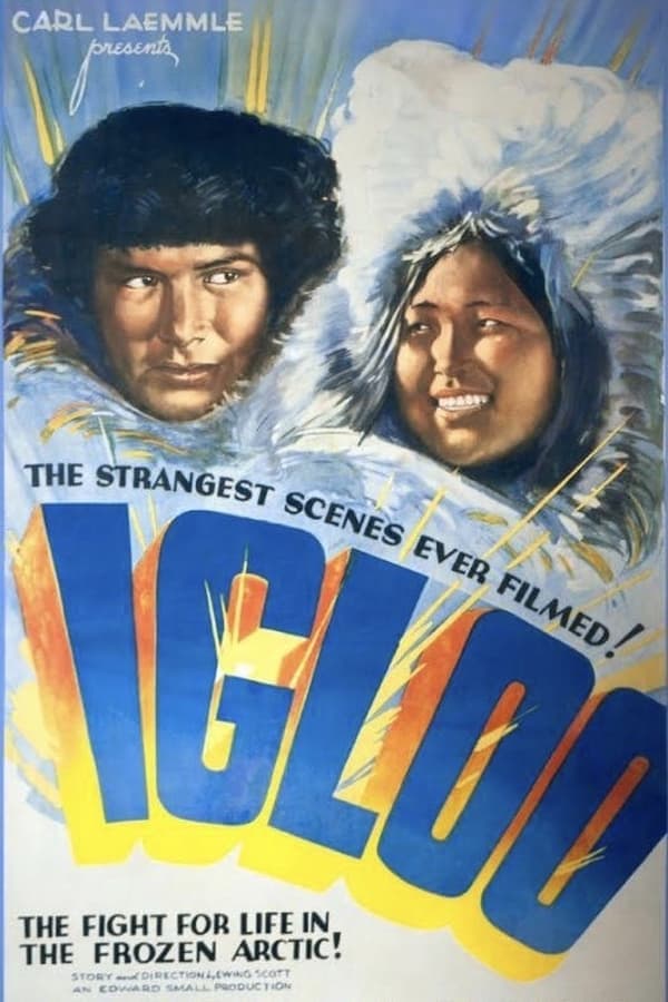 Igloo poster