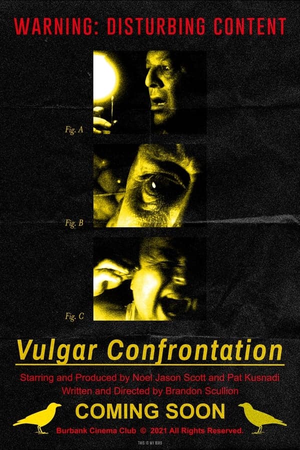 Vulgar Confrontation poster