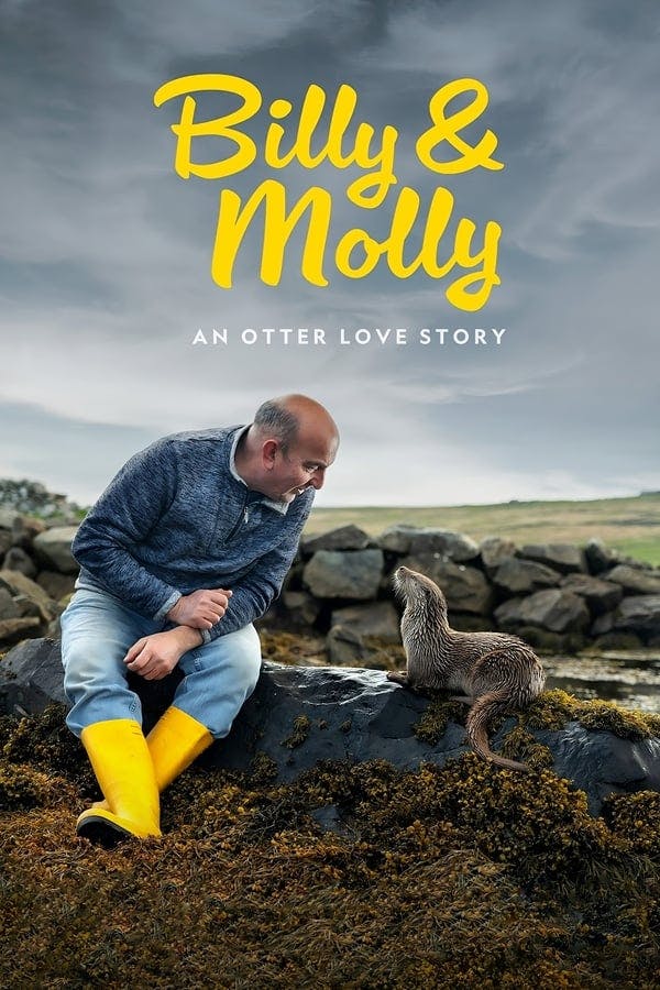 Billy & Molly: An Otter Love Story poster