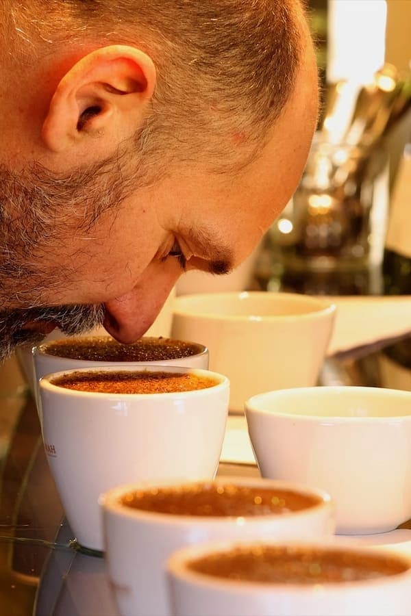 Les maîtres du café poster