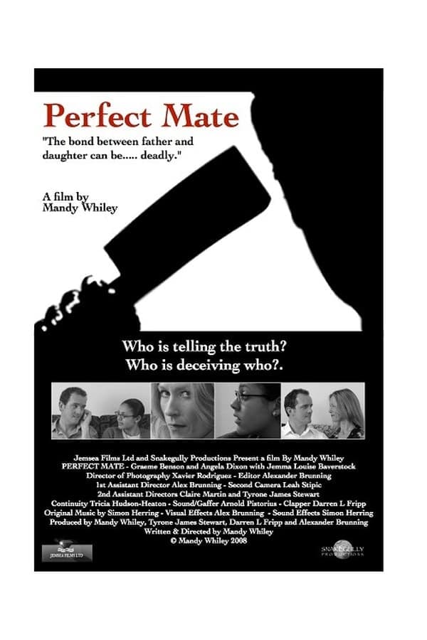 Perfect Mate poster