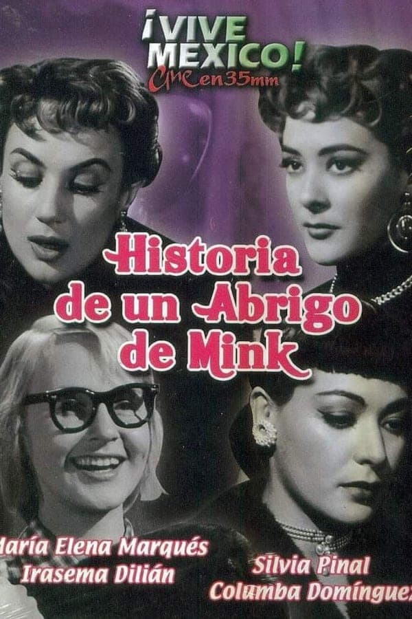 Historia de un abrigo de mink poster