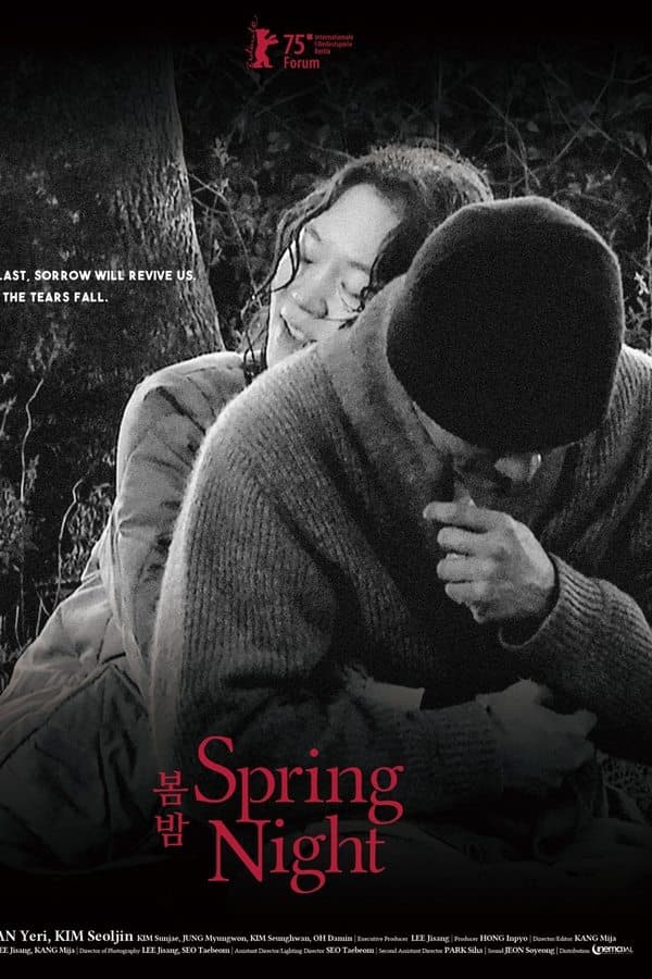 Spring Night poster