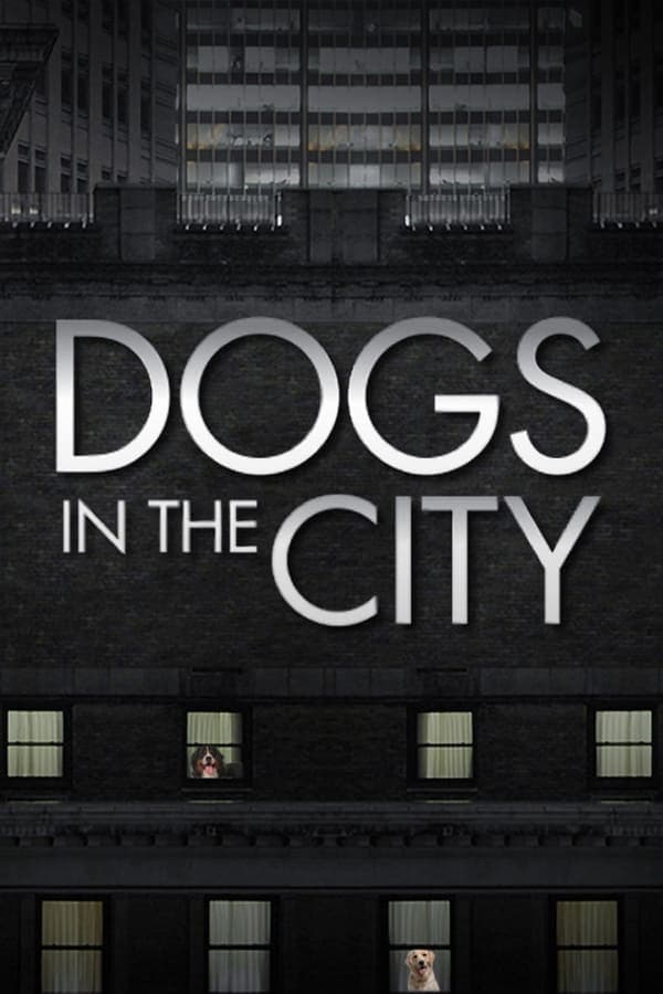 Dogs In The City poster