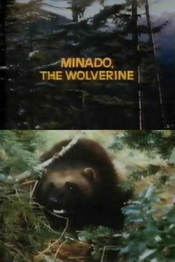 Minado, the Wolverine poster