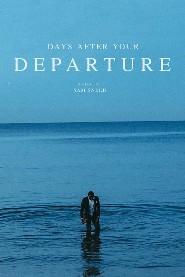 Days After Your Departure poster