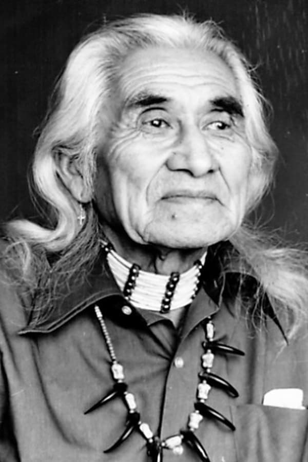 Chief Dan George poster