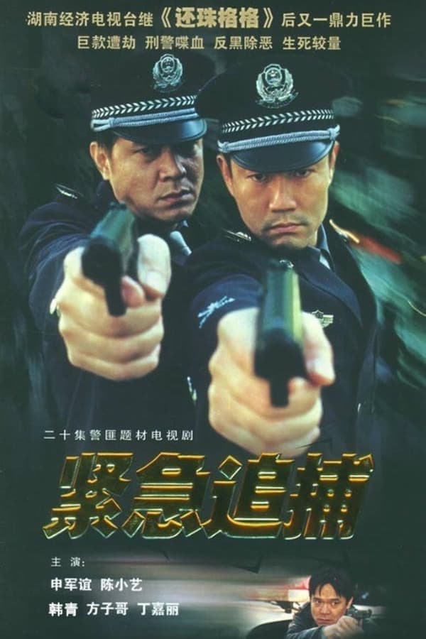 紧急追捕 poster