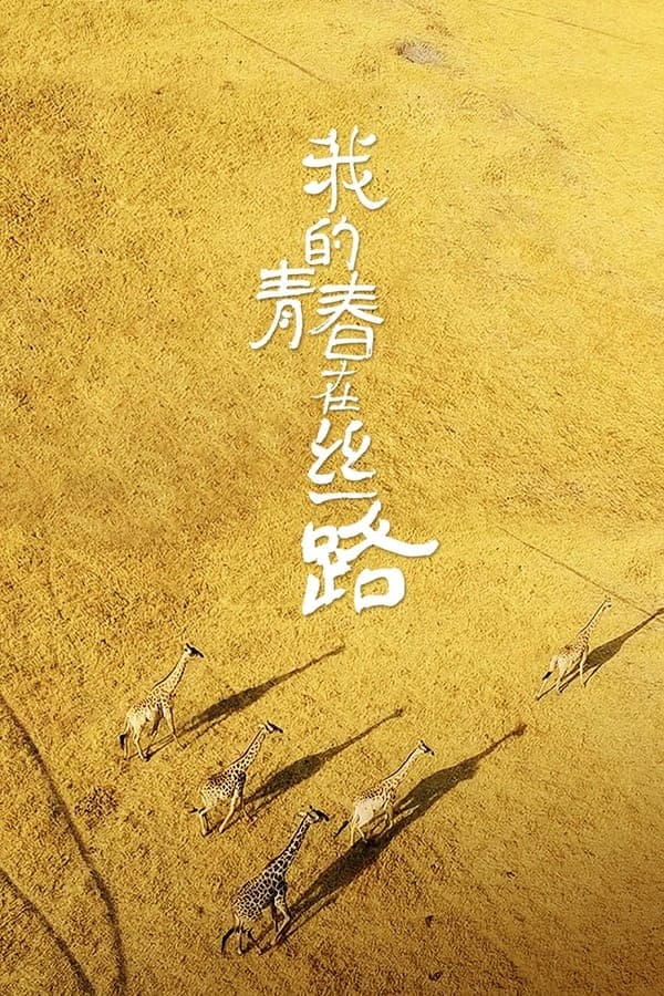 我的青春在丝路 poster