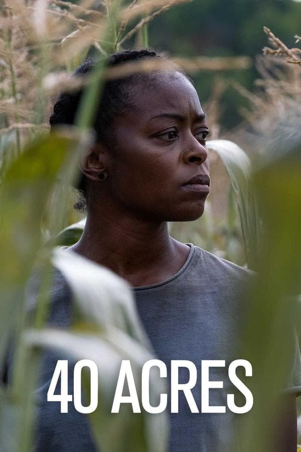 40 Acres poster