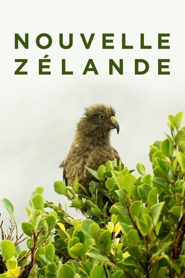 Nouvelle-Zélande : La Reconquête Maorie poster