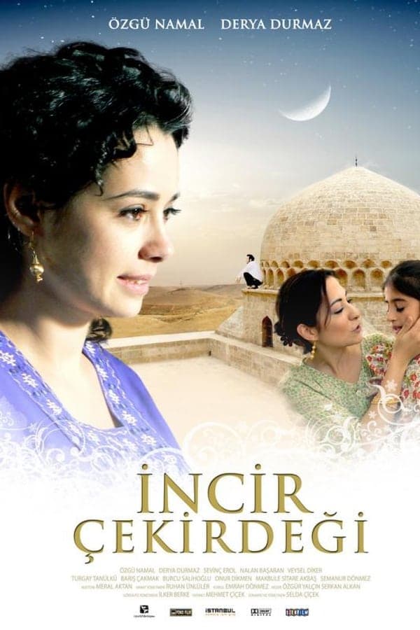 İncir Çekirdeği poster