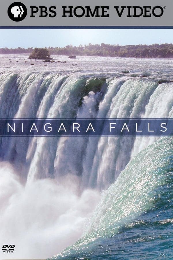 Niagara Falls poster