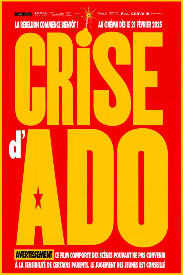 Crise d'ado poster