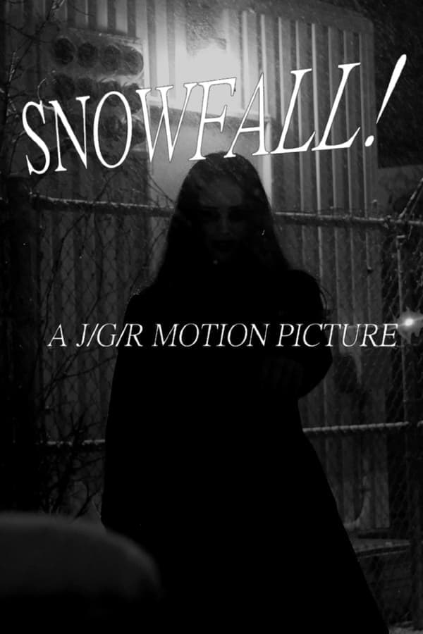 Snowfall poster