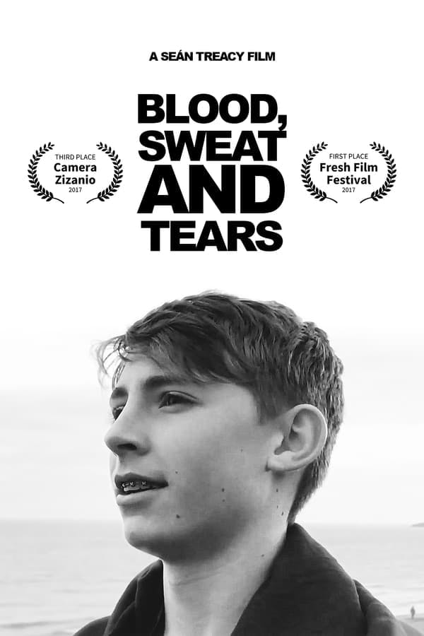 Blood, Sweat and Tears poster