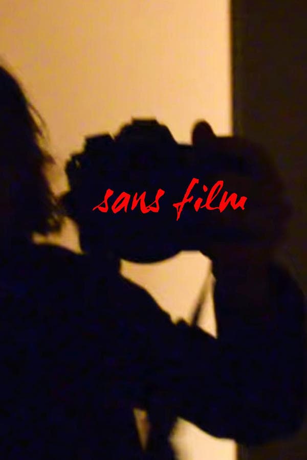 sans film poster