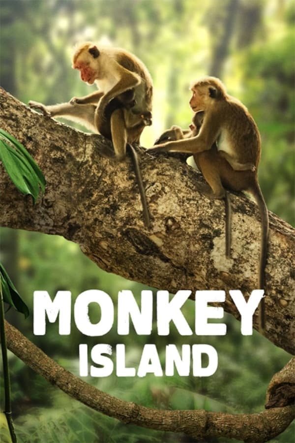 Monkey Island poster